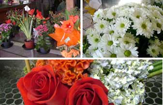 Art Flowers Floricultura Decoracoes E Coroas - Foto 1