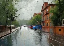 Ferraz de Vasconcelos