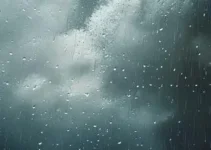 chuvisco em Ferraz de Vasconcelos