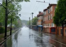 Ferraz de Vasconcelos