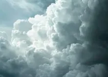 tempo fechado Ferraz de Vasconcelos