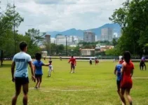 capacitação gratuita