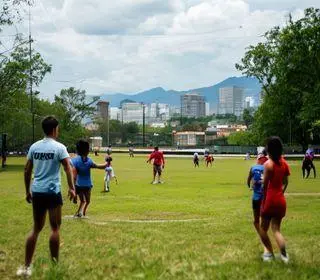 capacitação gratuita