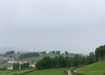 Ferraz de Vasconcelos