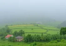 Ferraz de Vasconcelos