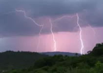 Ferraz de Vasconcelos