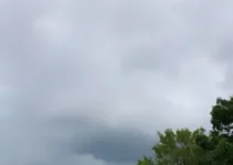 Ferraz de Vasconcelos