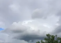 Ferraz de Vasconcelos