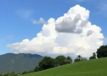 Ferraz de Vasconcelos