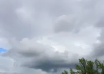 previsão do tempo em Ferraz de Vasconcelos