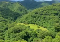 Parque Natural Municipal Cabeceiras do Aricanduva