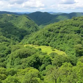 Parque Natural Municipal Cabeceiras do Aricanduva