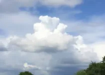 Ferraz de Vasconcelos clima