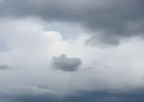 Ferraz de Vasconcelos