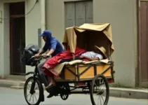 dupla em charrete assalta mulher em Ferraz de Vasconcelos