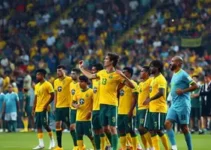 ferraz jogo do brasil